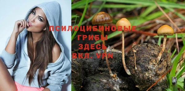 прущая мука Богородицк