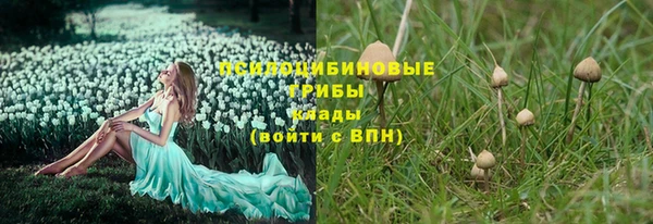 прущая мука Богородицк