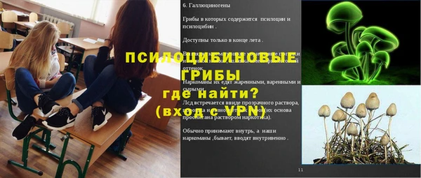бошки Богородск