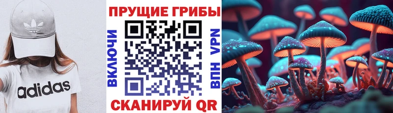 Псилоцибиновые грибы Psilocybine cubensis  MEGA   Менделеевск 